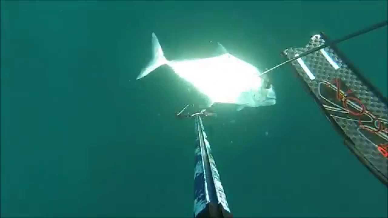 Xandão Dive Xaréu Branco 2014