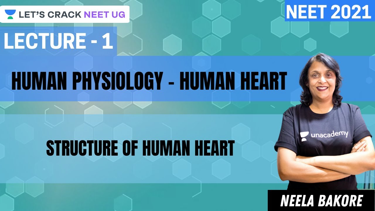 L1: Human Physiology - Human Heart - Structure of Human Heart | NEET ...
