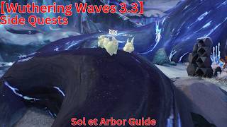 Side Quests Sol et Arbor Guide【Wuthering Waves 3.3】 Profile