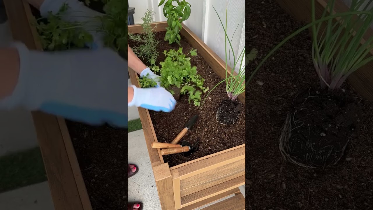 Enjoy a relaxing Summer tiny garden.