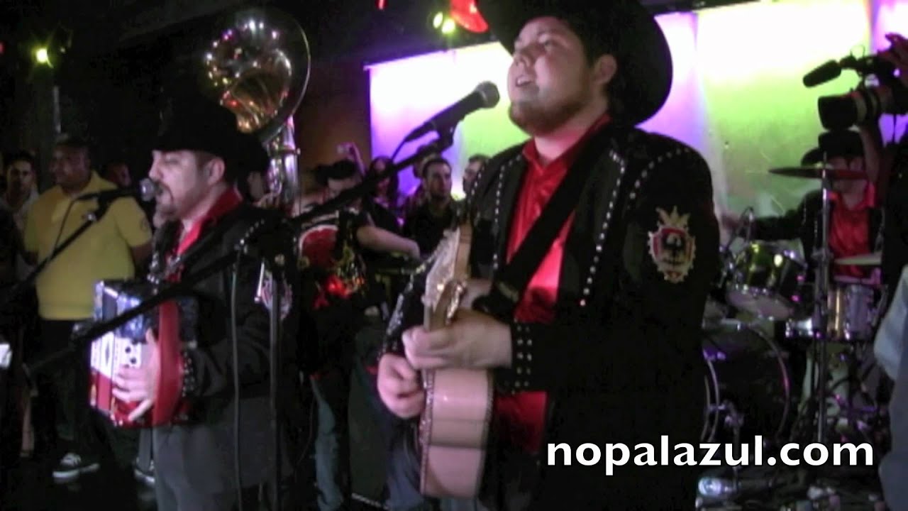 voz de mando el ranchero al que apodan el mayo
