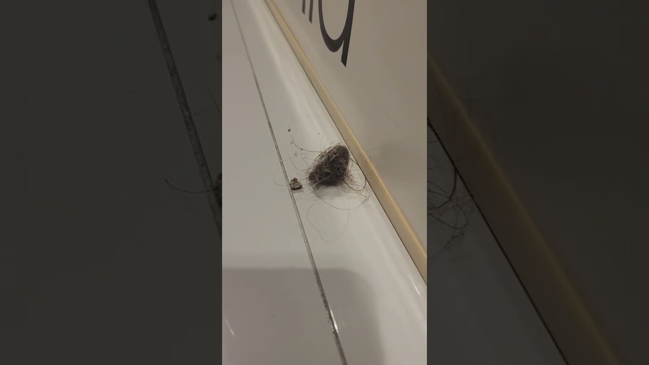 When Dust bunny's attack