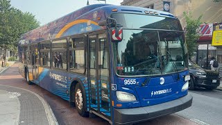 MTA NYC Bus 2021 New Flyer XDE40 Xcelsiors Action on the B44 B46 and B49