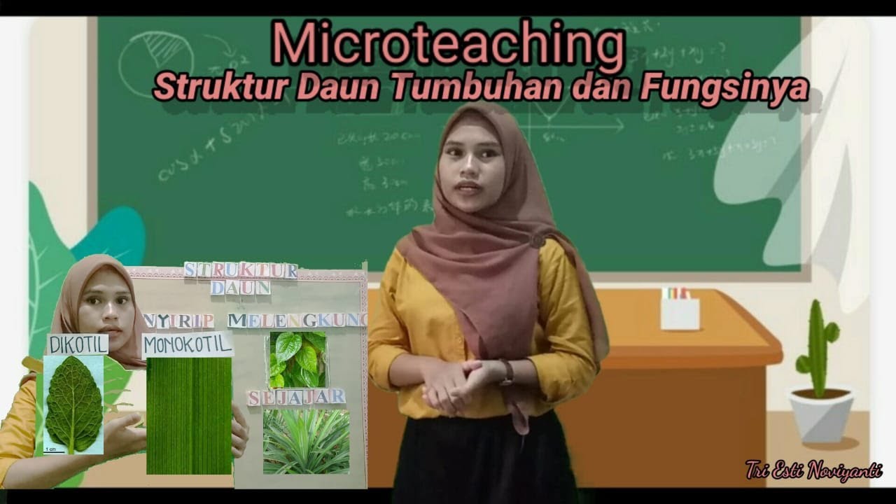 MICROTEACHING Struktur Daun Pada Tumbuhan dan  Fungsinya  