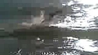 Vidéo016