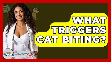 What Triggers Cat Biting? - Ask A Pet Vet