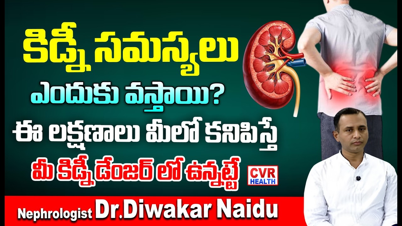 కిడ్నీలు దెబ్బతినడానికి కారణమయ్యే అలవాట్లు | Habits that Cause Kidney Damage | CVR HEALTH