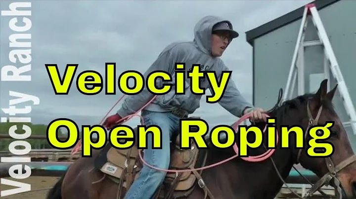 2016 Velocity Ranch Open Team Roping - Round 1, Pt...