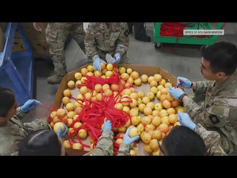 California CalFresh 2024: Claim Your Benefits Today!