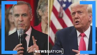 Conservatives in Canada have 'apathy' toward Mark Carney | NewsNation Now