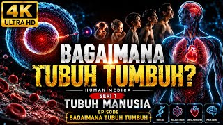 🧬4K ULTRA HD | BAGAIMANA TUBUH TUMBUH? | Dari Satu Sel Menjadi Manusia
