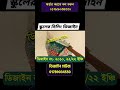 অসাধারন কিছু স্টেনসিন ডিজাইন- Stencil design ~ Stencil Paper ~ wallpaper #designhouse