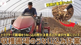 【いちご栽培】トラクターで収穫圃場をうない込み作業！
