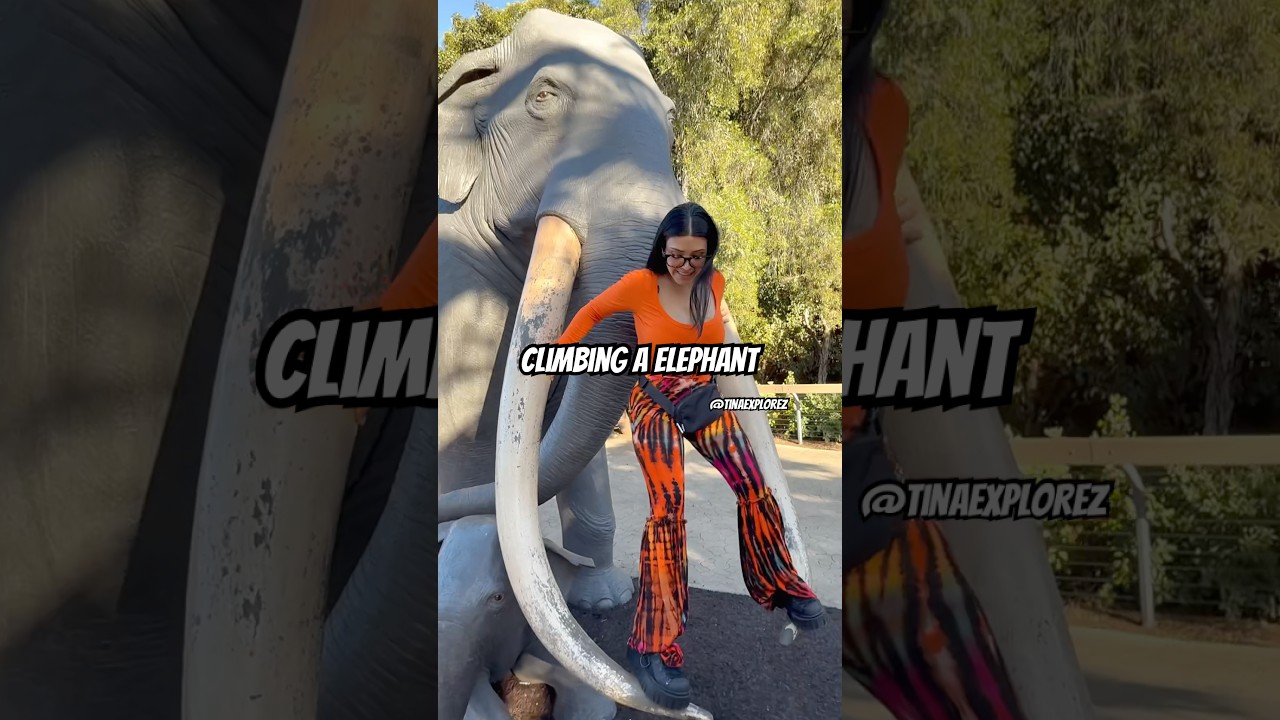 Climbing a Elephant statue! #fyp #viral #foryou #ootd #sandiegozoo #sandiegozoo #xyzbca
