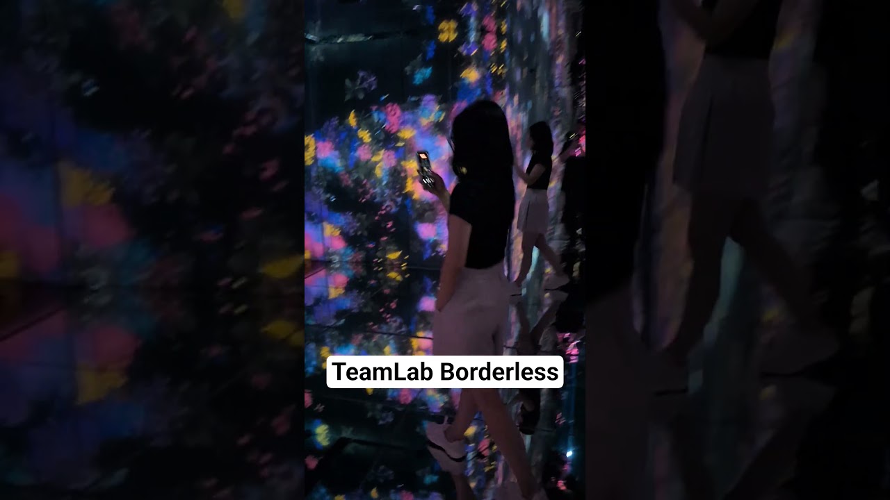 TeamLab Borderless 2