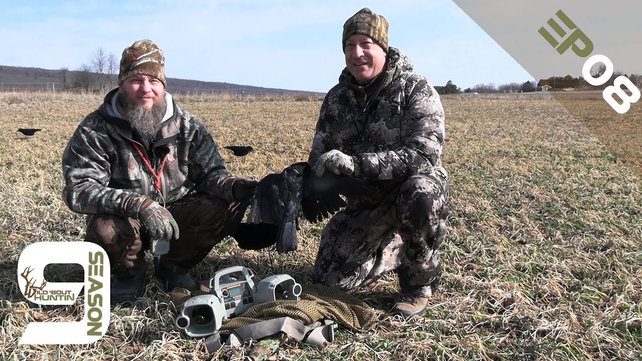 Crow Hunt with Decoys Wild Bout Huntin YouTube