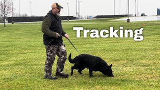 Unexpected distractions during tracking by Larry Krohn 798 views 1 month ago 46 seconds