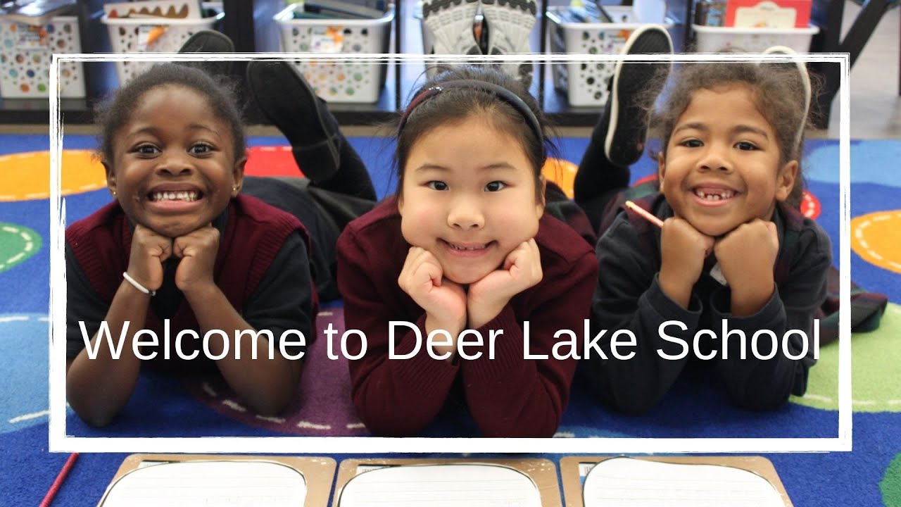 to Deer Lake School YouTube