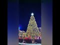 2020┃華泰名品城 X'mas