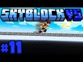 IL PONTE INFINITO - Minecraft SKYBLOCK Vs #11