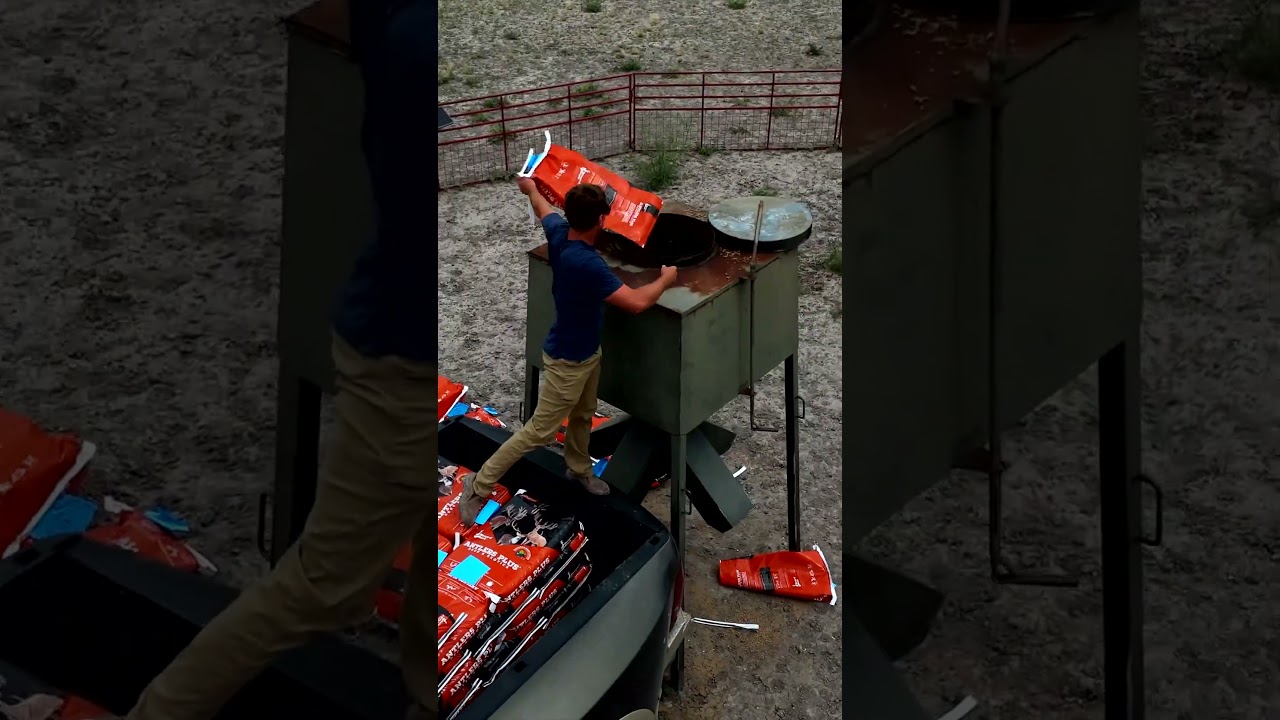 YouTube player