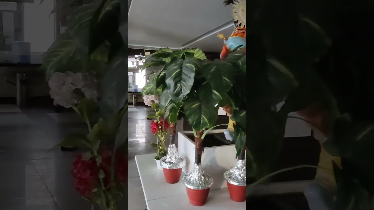 Refurbished Restaurant Cafe Bar Furniture Sofa Table N Chimni Hood Ducting blower