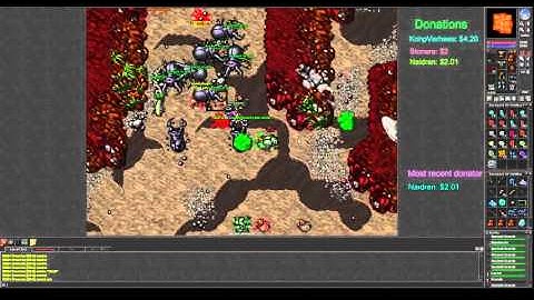 Killing 144 ms at ancient scarabs