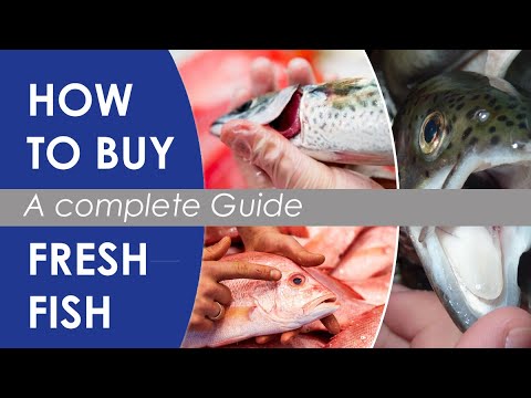 Video: How To Choose The Right Fresh Fish When Buying