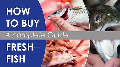 how to buy fish - guide to pick fresh seafood