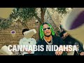 Capture de la vidéo Costa X Cairo Rich - Cannabis Nidahasa (Official Music Video)