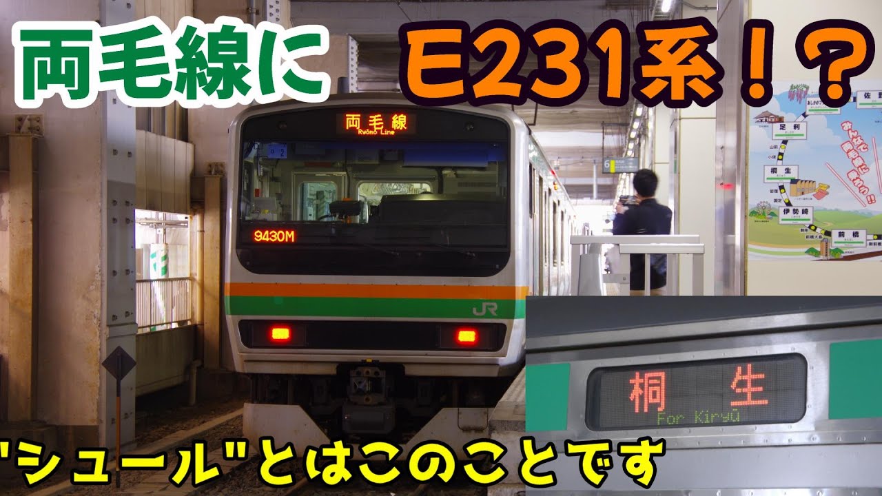 【総集編】E231系 両毛線栃木県区間へ進出@2025.4.26-27
