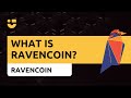 NiceTalk Highlights: What is Ravencoin?