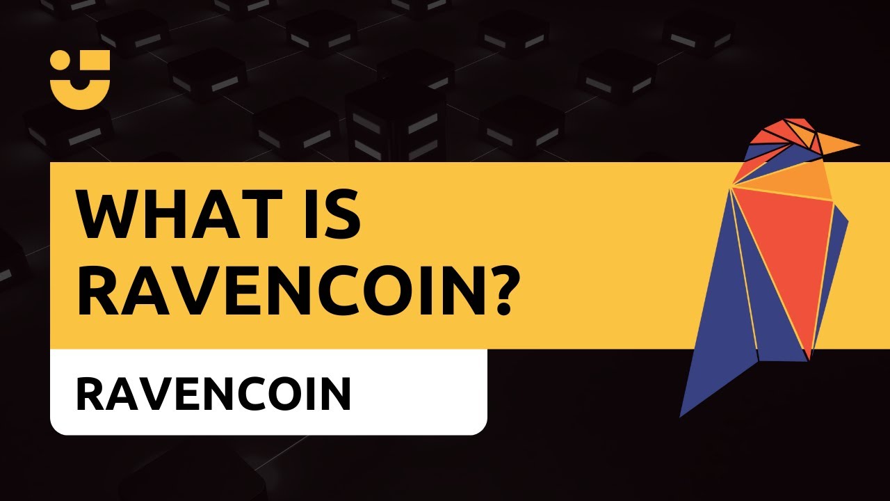 NiceTalk Highlights: What is Ravencoin?