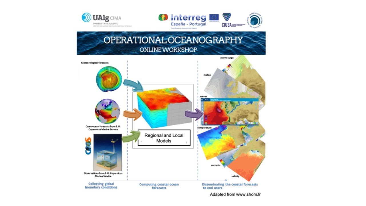 Operational Oceanography Workshop - 28th May 2020