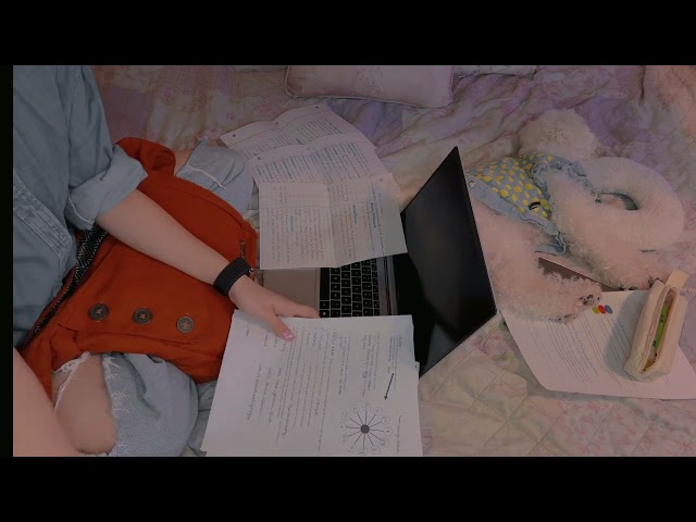 Asmr Quiet Classroom + Annoying Student | Typing, Writing, Tapping sounds| For Background Noise