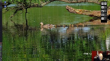 Testing My OBS Recording via VAAPI