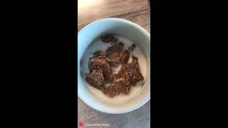 Low Carb Frosted Mini Wheats | Keto Cereal Recipe | 2g net carbs | 2 Ingredients