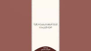 ⏱ | تلاوة في ٣٠ ثانية | سورة الملك | الآية [ ١٩ ] | الشيخ #أحمد_الحذيفي