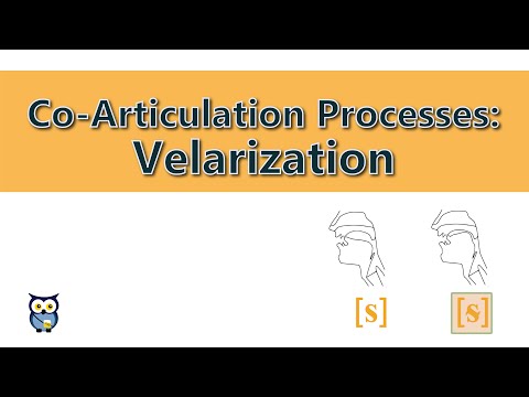 Co-Articulation Processes Velarization
