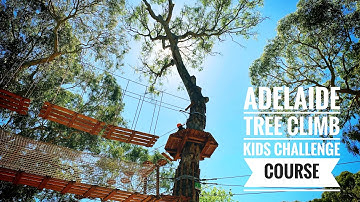 Adelaide tree climb, great challenge for kids.