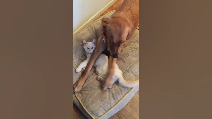 Dont squish the baby