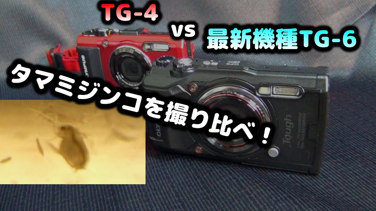 4K映像】 オリンパス TG-6 導入！ 開封 起動 TG-4 との比較