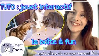 Tuto Realisez Une Boite A Fun Pour Vous Amuser Avec Votre Chat Tuto Realisez Une Boite A Fun Pour Vous Amuser Avec Votre Chat