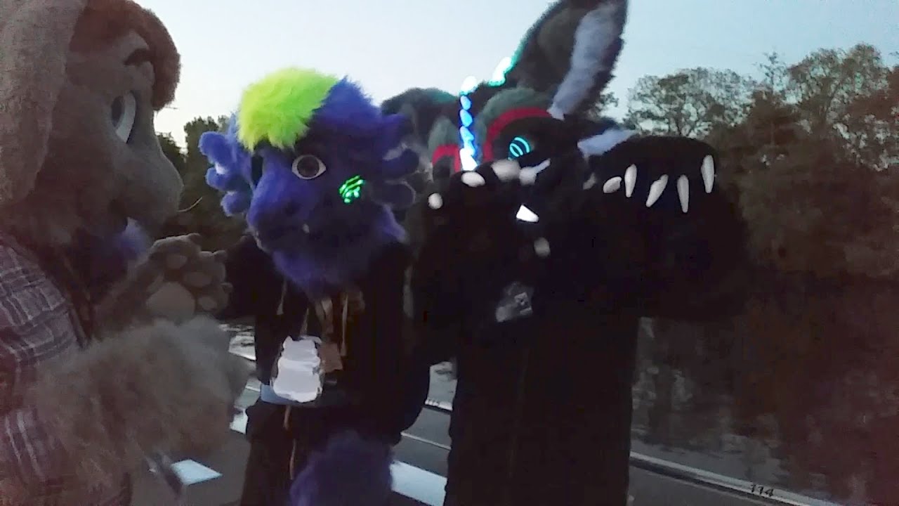 Eurofurence 26 - VLOG Part 1 - Montag und Dienstag und Sommerboot - YouTube
