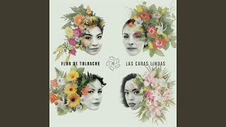 Video thumbnail of "Flor de Toloache - Regresa Ya"