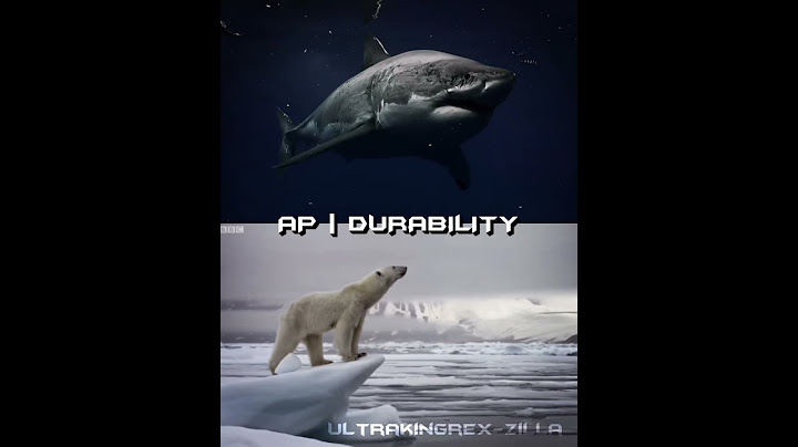 Great White Shark Vs. Polar Bear | #animals #shorts
