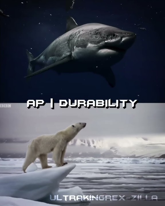 Great White Shark Vs. Polar Bear | #animals #shorts