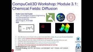 CompuCell3D WS 2026: 3.1: Chemical Fields and Diffusion [Pedro dal Castel] July 29, 2026
