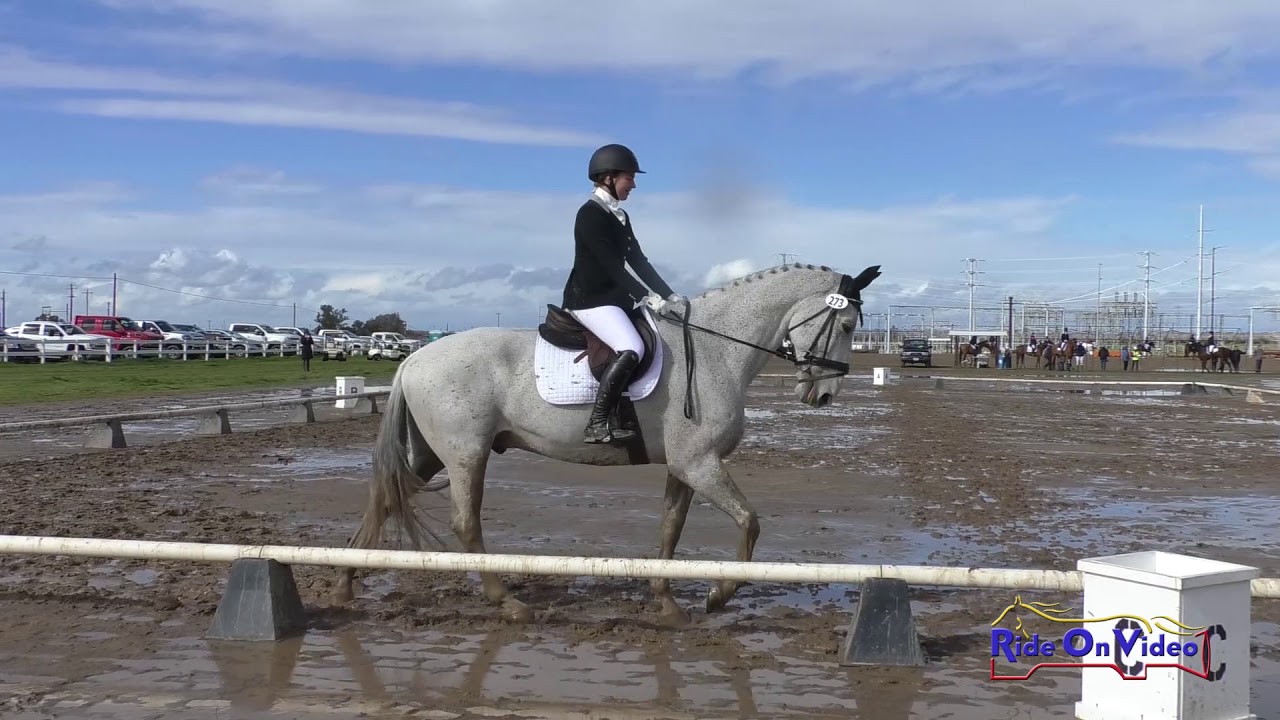 Jaja Reyes 273D Jaja Reyes on Code of Conduct Intro Dressage FCHP February 2019 ...