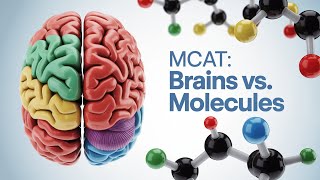 AAMC FL 2 #medicalschool #mcat #mcatcars #mcatquestions #mcatstudying #mcatprep #aamc